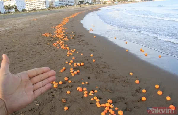 Mersin'de ilginç manzara! Sahile balık değil binlerce portakal vurdu - 3