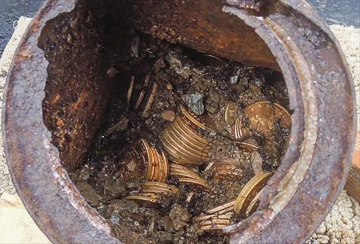 misir-tarlasinin-ortasinda-buldu-turnayi-gozunden-vurdu-icinden-cil-cil-altin-dokuldu-1721817313623.jpg İçinden çil çil altın çıktı! Mısır tarlasında tesadüfen buldu zengin oldu-6