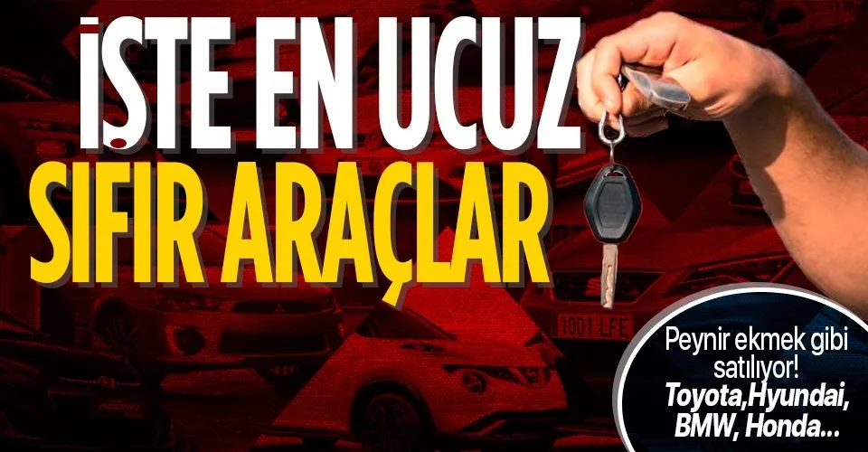 https www takvim com tr oyun cokkisilik 2013 01 02 kedi kopek kavgasi