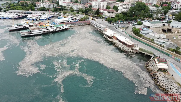 SON DAKİKA: İstanbul Bostancı'da sahili deniz salyası kapladı - 5