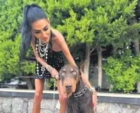 Sosyetenin güzeli Süreyya Yalçın Baran kolları sıvadı: Bodrum’da barınak yaptırıyor!