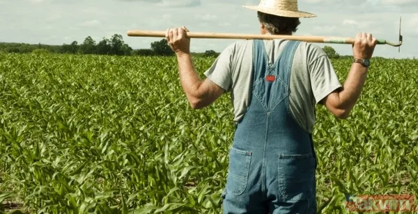 Çiftçiye mazot, yem ve gübre desteği! Tarım ve Orman Bakanı Vahit Kirişci açıkladı! Nasıl yararlanılacak? İşte detaylar... - 7
