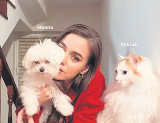 Şen şakrak fotoğraf