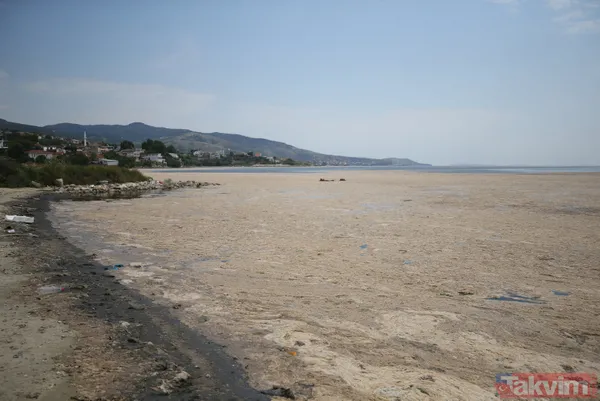 SON DAKİKA: Marmara Denizi için büyük tehlike! Deniz hala soğumadı müsilaj tehlikesi devam ediyor - 22