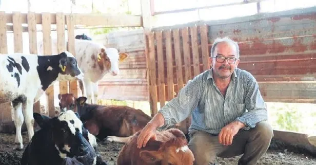 Mösyö aranıyor | Mustafa Çiçek, 85 bin TL’ye aldığı ineği elinden kaçırdı, bulana ödül verecek!