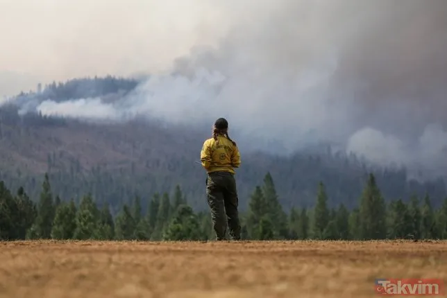 Kaliforniya'daki yangınlar haftalardır kontrol altına alınamıyor! Yerleşim yerleri tehlike altında