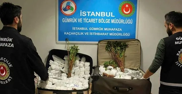 Son dakika: Bakanlık açıkladı: İstanbul Havalimanı’nda khat cinsi uyuşturucu ele geçirildi