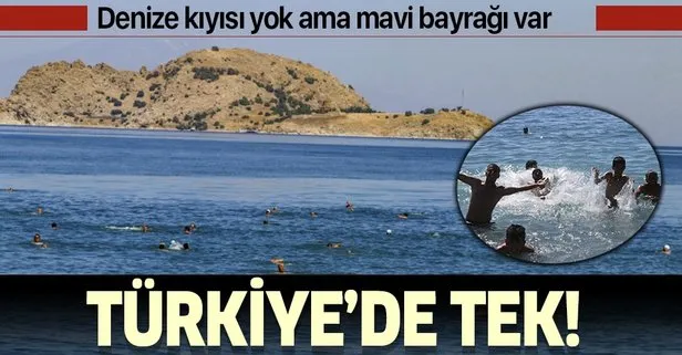 Türkiye’de tek! Van’ın mavi bayraklı Mollakasım Plajı’na turist ilgisi