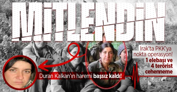MİT'ten PKK'nın sözde kadın yapılanmasına darbe: Sözde sorumlu Norşin Afrin ve 4 koruması terörist etkisiz hale getirildi