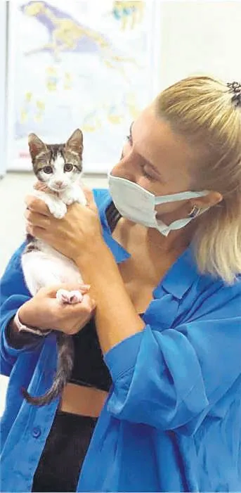 1648508624565.jpeg Şanslı kedi çöp kutusunda bulundu! 9 bin km uçup sahibine kavuştu gönüllere taht kurdu-2