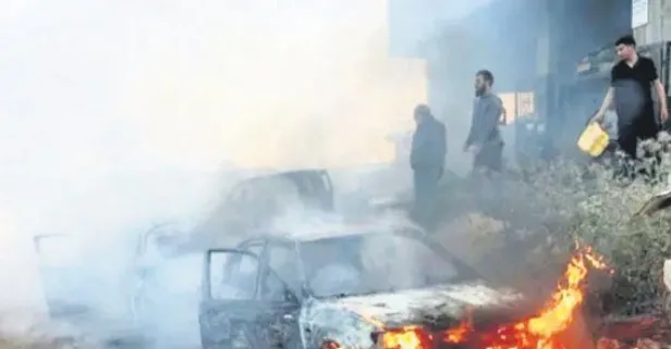 Eli kanlı 'Bibi' kıydığı canlara doymadı: Ağaçlara saldırdı!