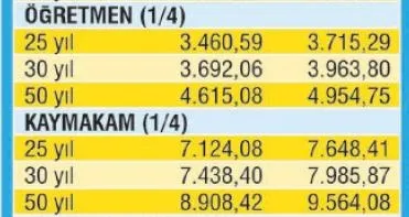 Emekliye zamlı maaşlar ne zaman yatacak? Emekliler 206 TL fark alacak... İşte emekli maaşlarının yatacağı tarih-9