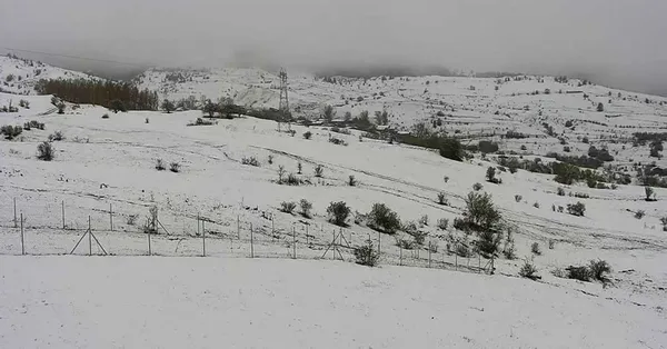 dogu-anadolu-degil-artvin-savsat-ve-ardanuca-mayista-kar-yagdi-1651754979885.jpg Doğu Anadolu değil! Artvin Şavşat ve Ardanuç'a mayısta kar yağdı-3