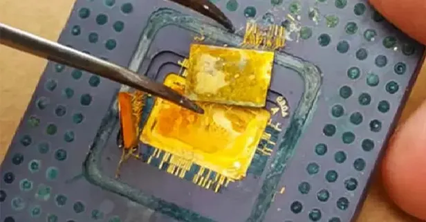 Herkes çöp atıyor ama içinde meğer altın varmış! Sakın kimseye kaptırmayın herkes peşine düştü