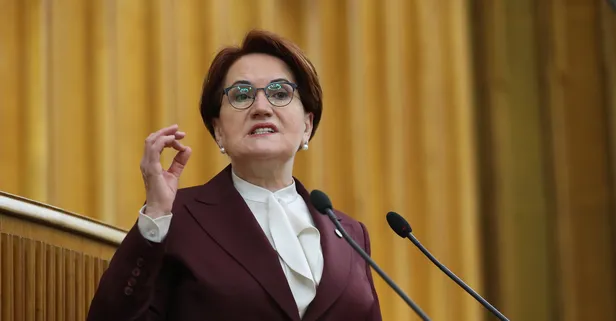 FETÖ İYİ Parti'yi dizayn ediyor: Meral Akşener'in veliahtını hazırladılar