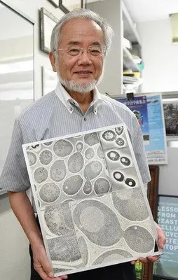 Nobel Ödüllü Japon bilim insanı: Oruç vücudun yenilenmesini sağlıyor