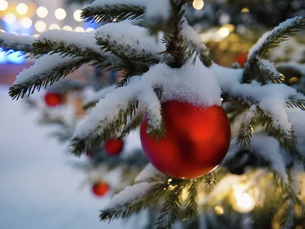 31-aralik-tatil-mi-resmi-tatil-mi-31-aralik-yarim-gun-mu-31-aralikta-okullar-acik-mi-iste-acik-ve-kapali-olacak-yerler-1638737896720.jpg 31 Aralık'ta okullar açık mı? İşte açık ve kapalı olacak yerler... 31 Aralık tatil mi, resmi tatil mi? 31 Aralık yarım gün mü?-3