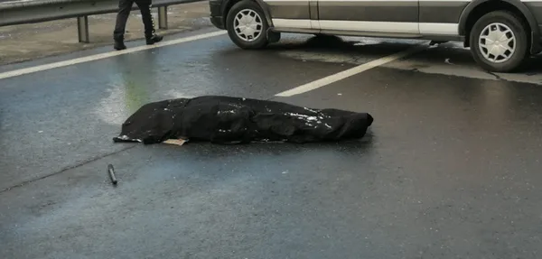 son-dakika-temde-olumlu-kaza-taksinin-carptigi-surucu-olay-yerinde-hayatini-kaybetti-taksici-olay-yerinden-kac-1642577990200.jpg SON DAKİKA: TEM'de ölümlü kaza! Taksinin çarptığı sürücü olay yerinde hayatını kaybetti taksici olay yerinden kaçtı-8