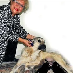 Güneş’in doğuşu!