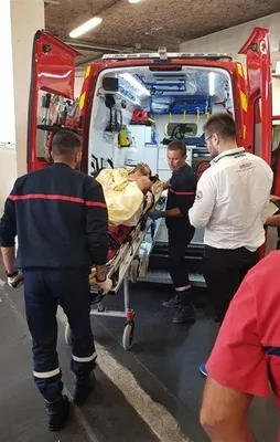 Sofuoğlu'nu taşıyan uçak Türkiye'ye geldi