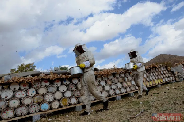 Kilosu 350 TL! 3 bin rakımda üretilen karakovan balından bu yıl 250 ton bekleniyor - 5