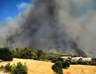 Türkiye yangın haritası! 30 Temmuz yangın olan iller! Yangın hangi illerde devam ediyor?