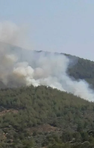 Muğla'da orman yangını