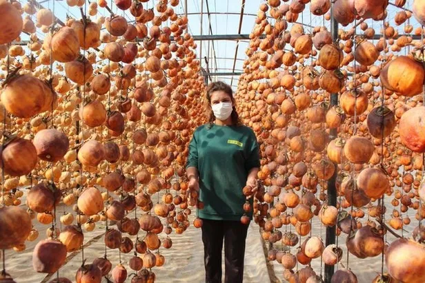 40 kilo ile başladı! Şimdi yıllık 50 ton oldu! Paraya para demiyor! Sermayesi ise çok azdı!-3