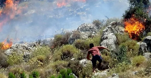 Son dakika: Balıkesir'de orman yangını - Takvim