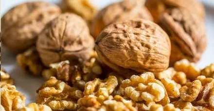 Ceviz Alzheimer’ı önlüyor