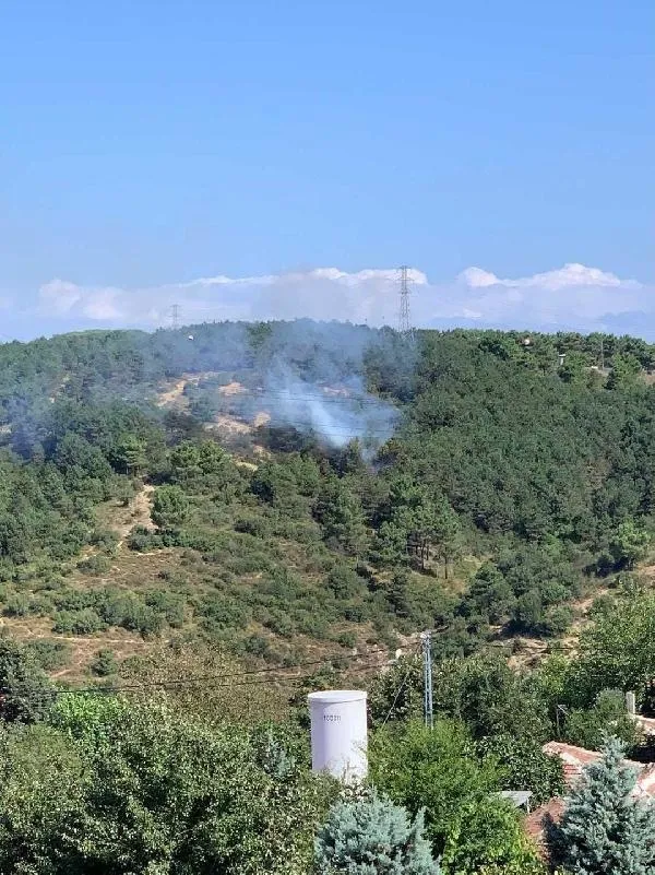 SON DAKİKA: Korkutan yangın haberleri peş peşe geldi! İzmir ve İstanbul'da orman yangınları-1