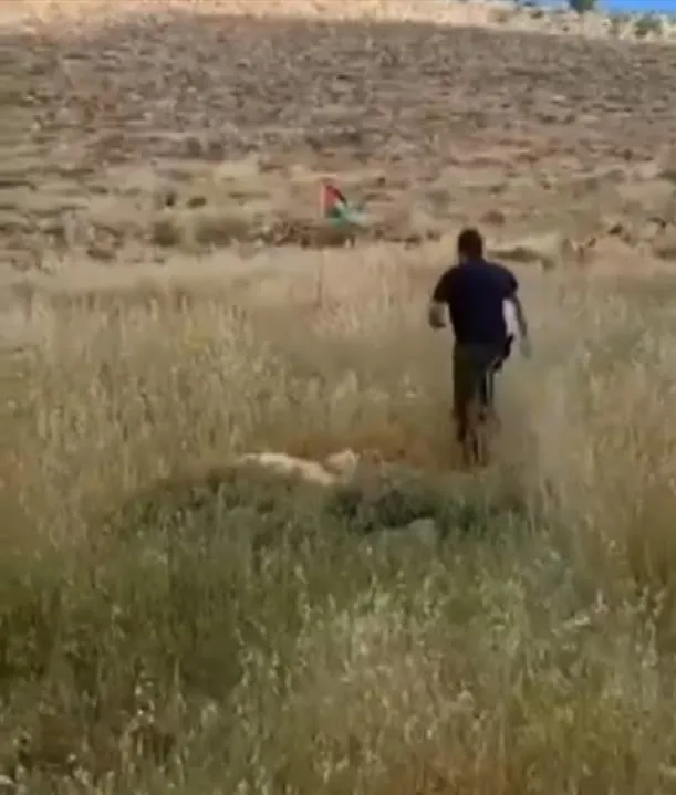 filistin-bayragini-tekmeleyen-israilli-yerlesimciye-bomba-soku-itamar-ben-gvir-talimat-vermisti-bayragi-kaldir-1713686897851.jpeg Filistin bayrağını tekmeleyen İsrailli yerleşimciye bomba şoku! Itamar Ben Gvir talimat vermişti: Bayrağı kaldırmaya çalışırken havaya uçtu-1