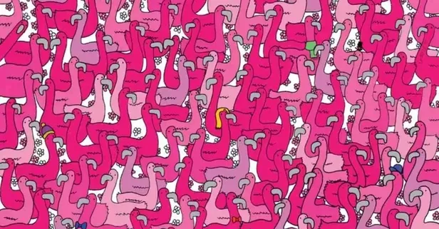 Resimdeki gizli kalbi gören yok, göremeyen çok! Sadece IQ'su yüksek olanlar çözüyor