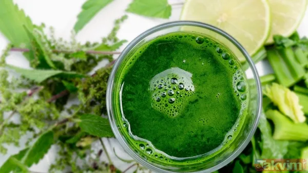 Tarihin en tuhaf ve tehlikeli detoksları: Parazit yutandan boraks banyosuna... - 4