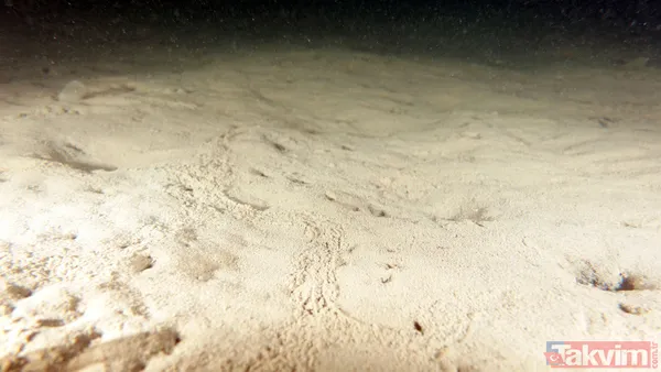 SON DAKİKA: Marmara Denizi için büyük tehlike! Deniz hala soğumadı müsilaj tehlikesi devam ediyor - 31