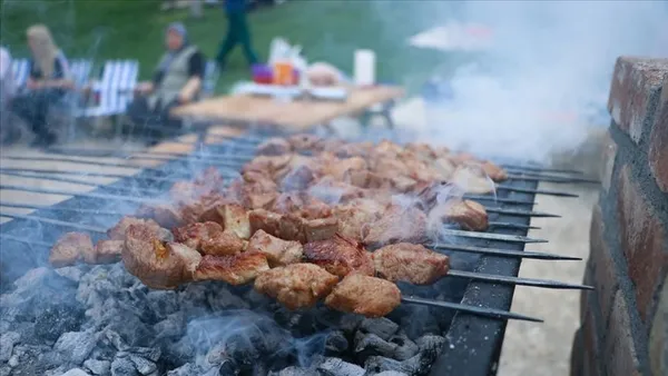 mangal-yasak-mi-turkiye-genelinde-mangal-yapmak-yasak-mi-serbest-mi-1628418581780.jpg Mangal yasak mı? Türkiye genelinde mangal yapmak yasak mı, serbest mi?-2