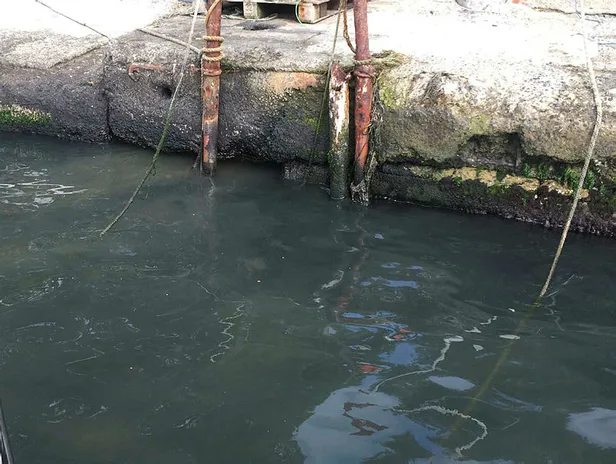 mahalle-sakinleri-isyan-etti-istanbul-bogazina-kanalizasyon-atigi-birakiliyor-1599385411509.jpg Mahalle sakinleri isyan etti! "İstanbul Boğazı'na kanalizasyon atığı bırakılıyor"-5