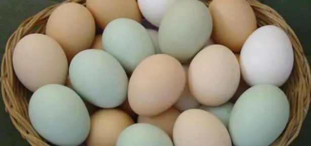 Gözler için yumurta