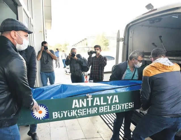 Mesele ağaç değil