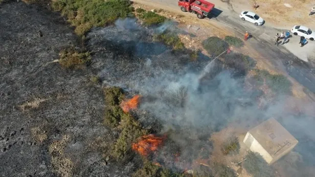 Türkiye'de peş peşe orman yangınları! Başkan Erdoğan açıkladı: 5 il Genel Hayata Etkili Afet Bölgesi ilan edildi-5
