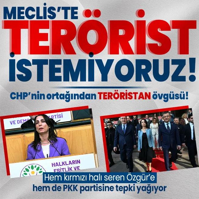 CHPnin ortağı DEM Partinin Eş Başkanı Tülay Hatimoğullarından Mecliste skandal! TSKnın operasyonlarından rahatsız olup Kürdistan dedi!