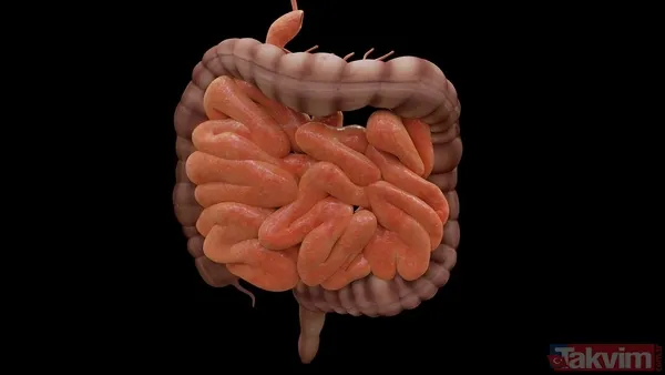 🧠 Bilimsel Rehberin Önemi Bu Yeni Kılavuz, Sağlık Profesyonellerinin Kabızlık Tedavisinde "Tek Tip Öneriler" Yerine Kişiye Özel Çözümler Sunabilmesi Açısından...