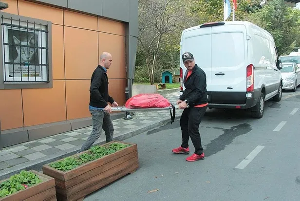 Beşiktaş'ta son dakika vahşet haberi! Köpek kurşunlanarak öldürüldü-3