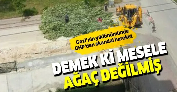 CHP’li belediye Gezi’nin yıl dönümünde ağaç kesti!