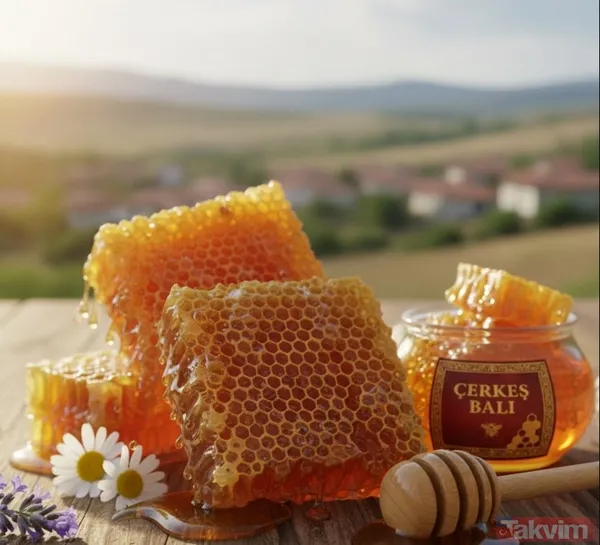 Çankırı'nın tescilli ürün sayısı 30 oldu: Çerkeş çiçek balı coğrafi işaret belgesi aldı - 10