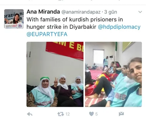 AGİT'in gözlemcileri terör destekçisi çıktı-6