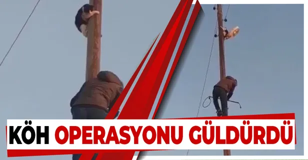 Mardin'de köpekten kaçarken direkte mahsur kalan kedinin komik anları...