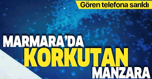 Marmara'da korkutan manzara! Gören telefona sarıldı
