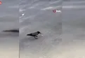 Hatay'da garip olay! Mizah amaçlı video çekmek isterken 10 TL'sini kargaya kaptırdı