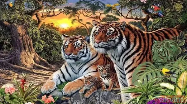 Bu fotoğraf bakanlara saç baş yoldurdu! Bir leopar var ama hadi bulun bulabilirseniz! Zor olduğuna eminiz arayanların yüzde 99'u vazgeçti - 11